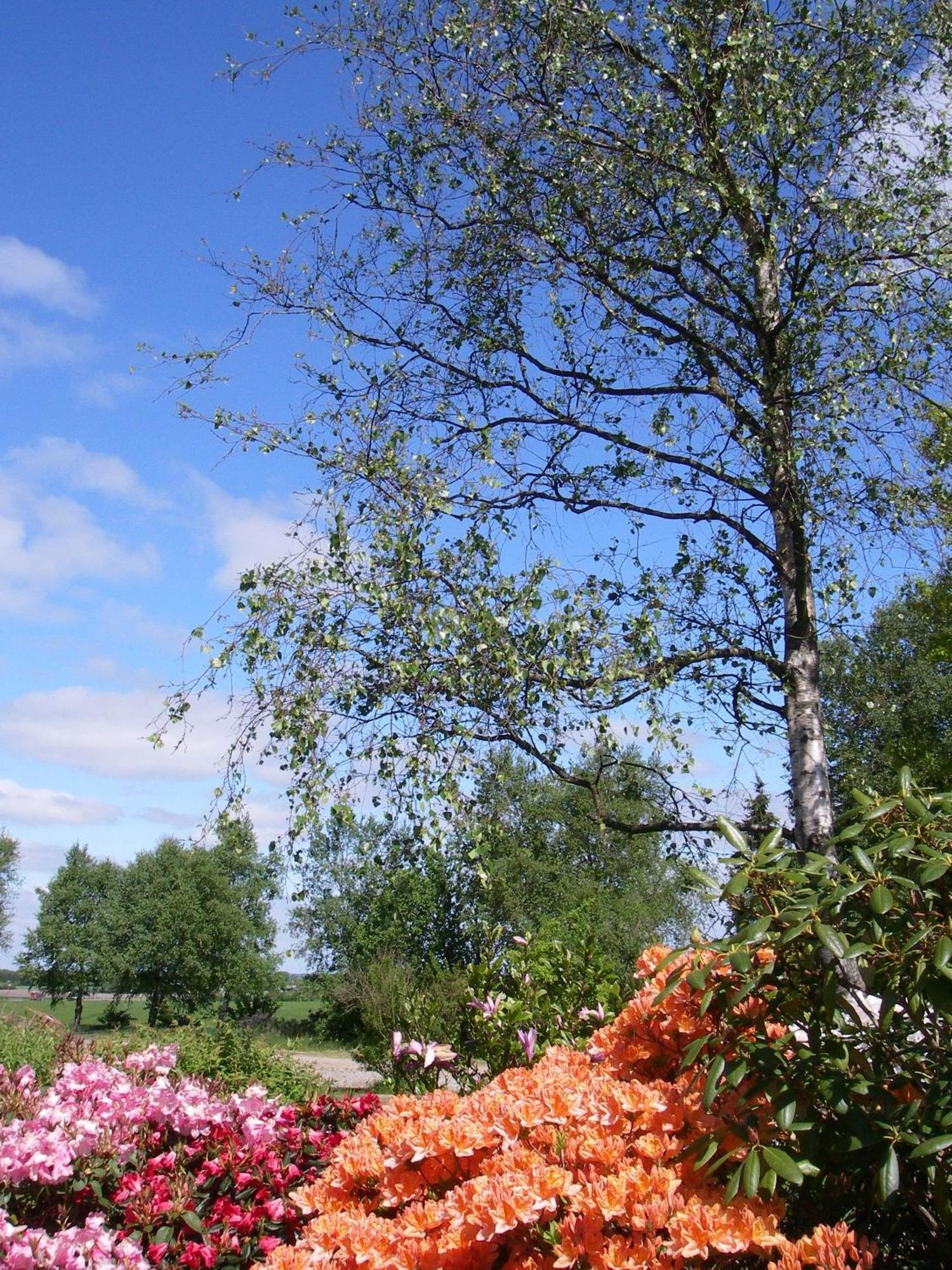 Mikkelborg Kro Rødding Exteriör bild